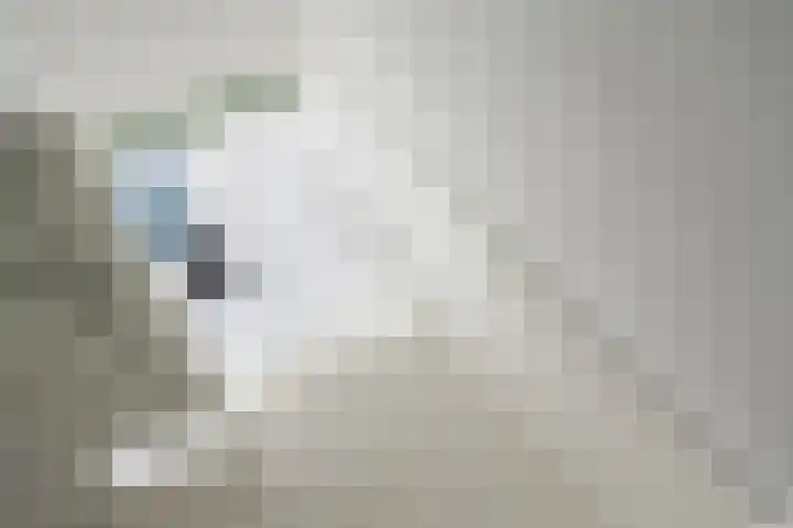Veerstraat 3 Druten thumbnail 15