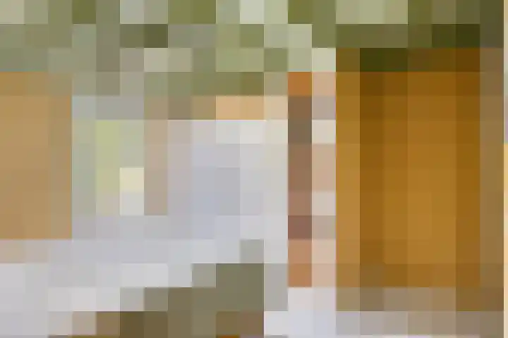 Veerstraat 3 Druten thumbnail 18