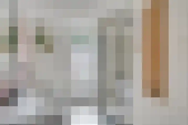 Veerstraat 3 Druten thumbnail 20
