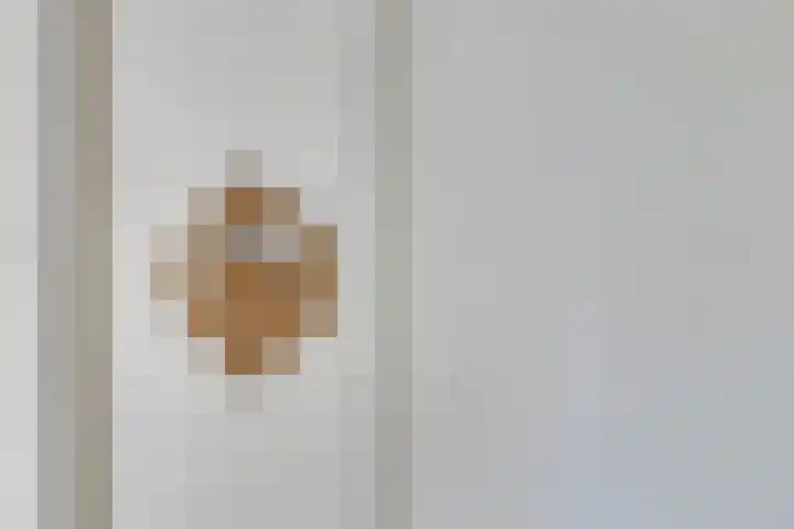Veerstraat 3 Druten thumbnail 23