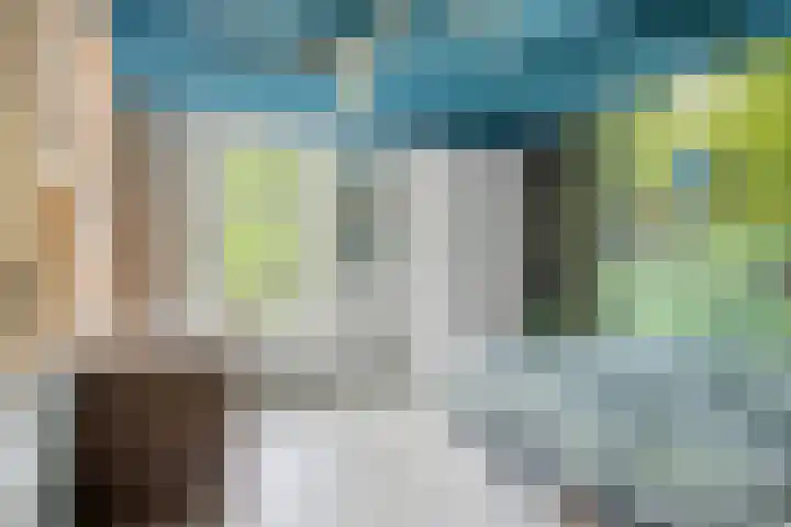 Veerstraat 3 Druten thumbnail 25