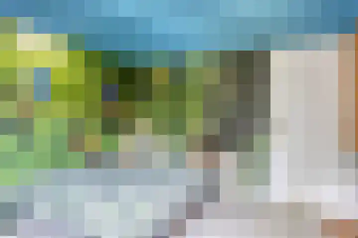 Veerstraat 3 Druten thumbnail 26