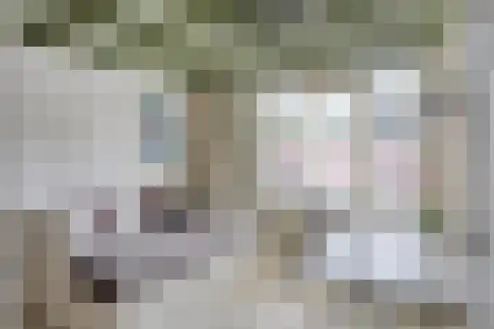 Veerstraat 3 Druten thumbnail 27