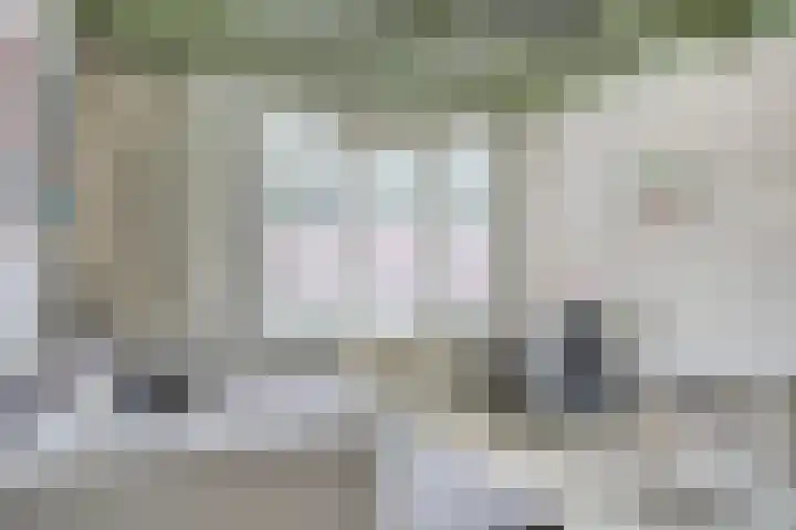 Veerstraat 3 Druten thumbnail 28