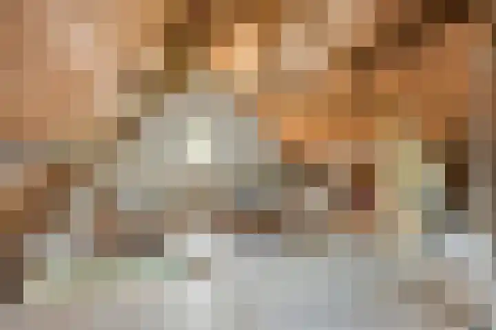Veerstraat 3 Druten thumbnail 30