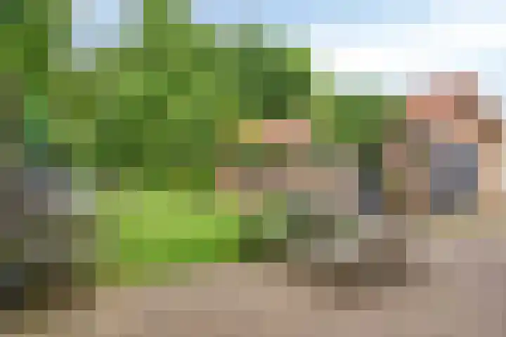Veerstraat 3 Druten thumbnail 33