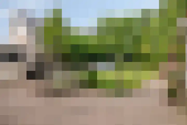 Veerstraat 3 Druten thumbnail 34