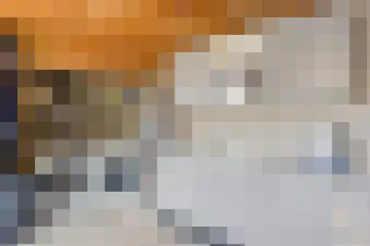 Veerstraat 3 Druten thumbnail 36