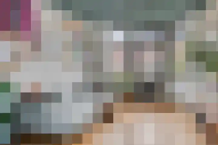 Veerstraat 3 Druten thumbnail 4