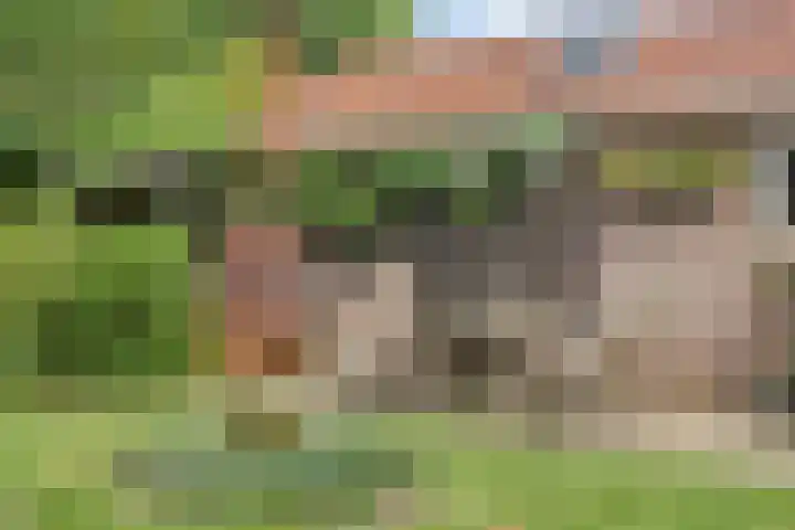 Veerstraat 3 Druten thumbnail 40