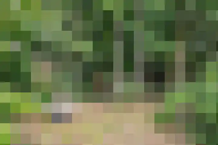 Veerstraat 3 Druten thumbnail 42