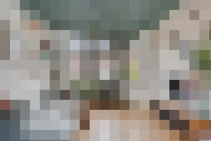 Veerstraat 3 Druten thumbnail 5