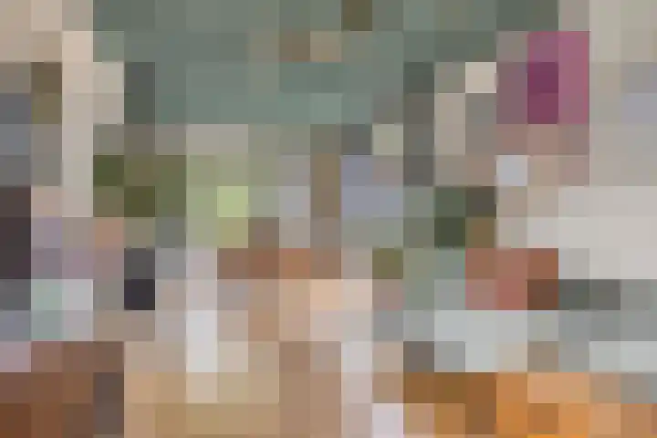 Veerstraat 3 Druten thumbnail 6