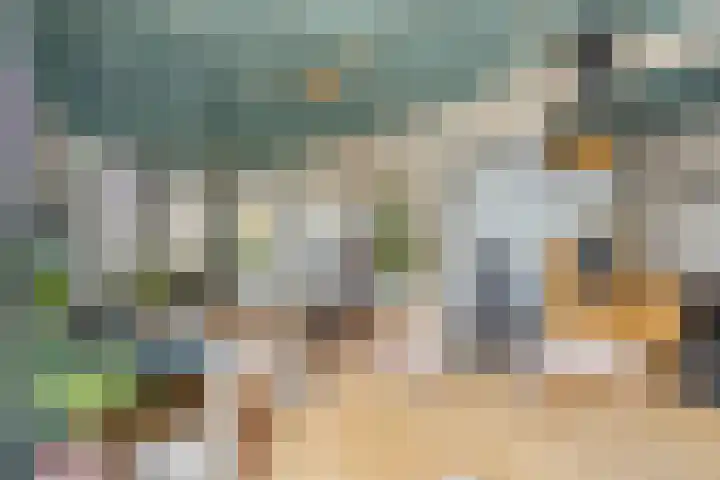 Veerstraat 3 Druten thumbnail 8