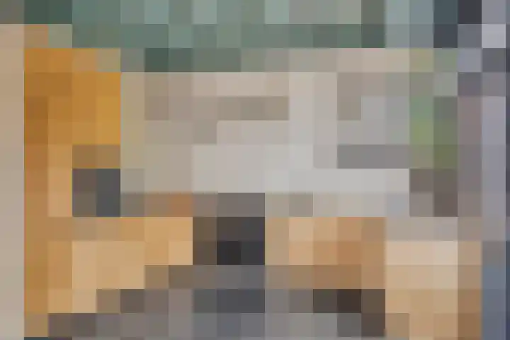 Veerstraat 3 Druten thumbnail 9