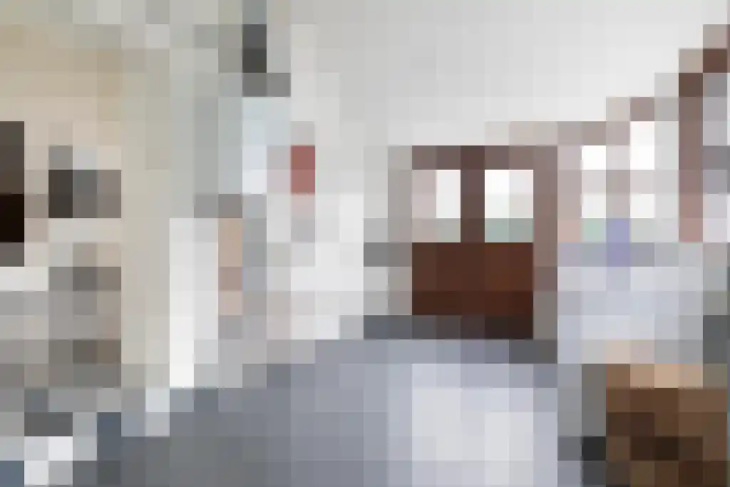 Veerstraat 3 Standdaarbuiten thumbnail 10