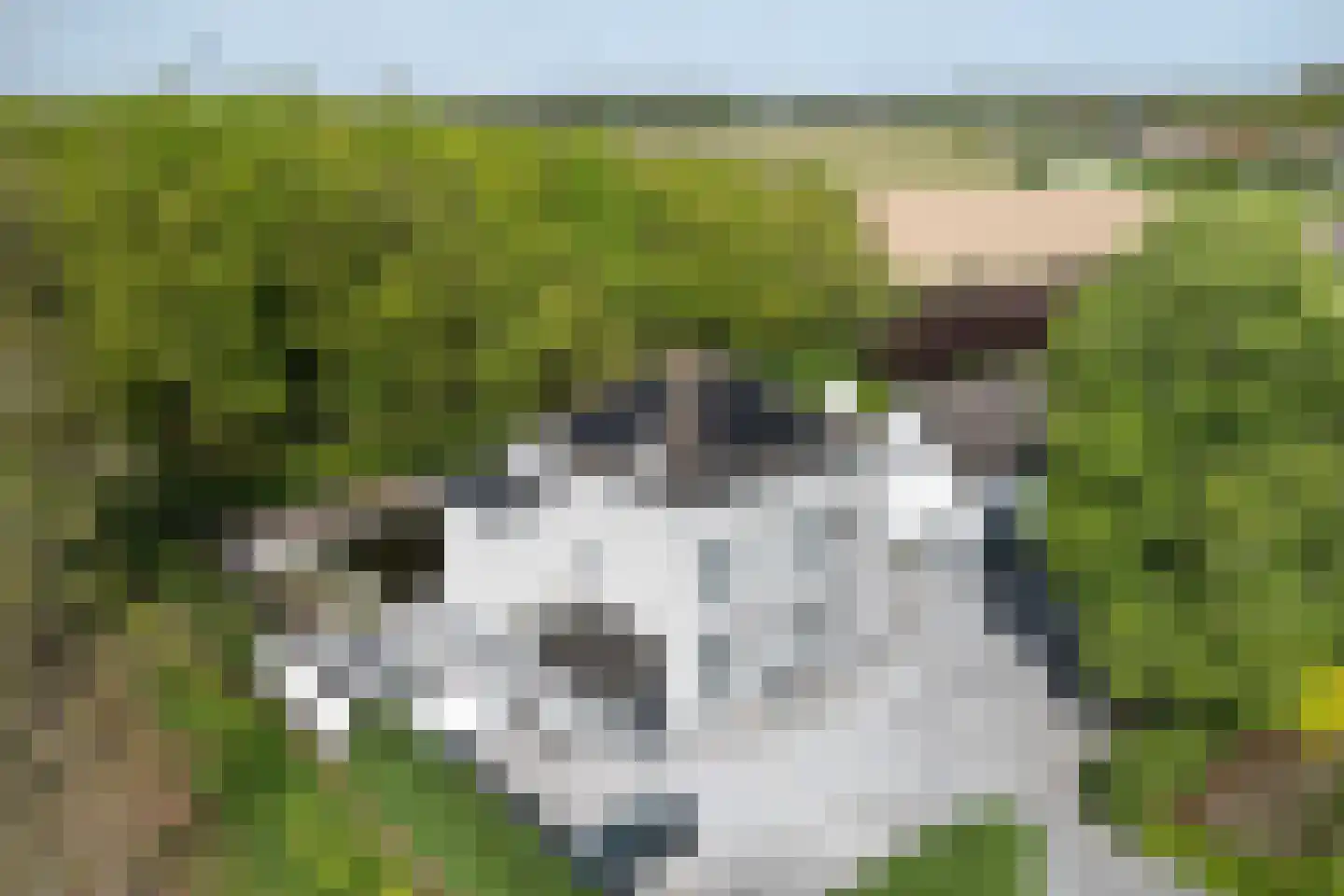 Veerstraat 3 Standdaarbuiten thumbnail 123