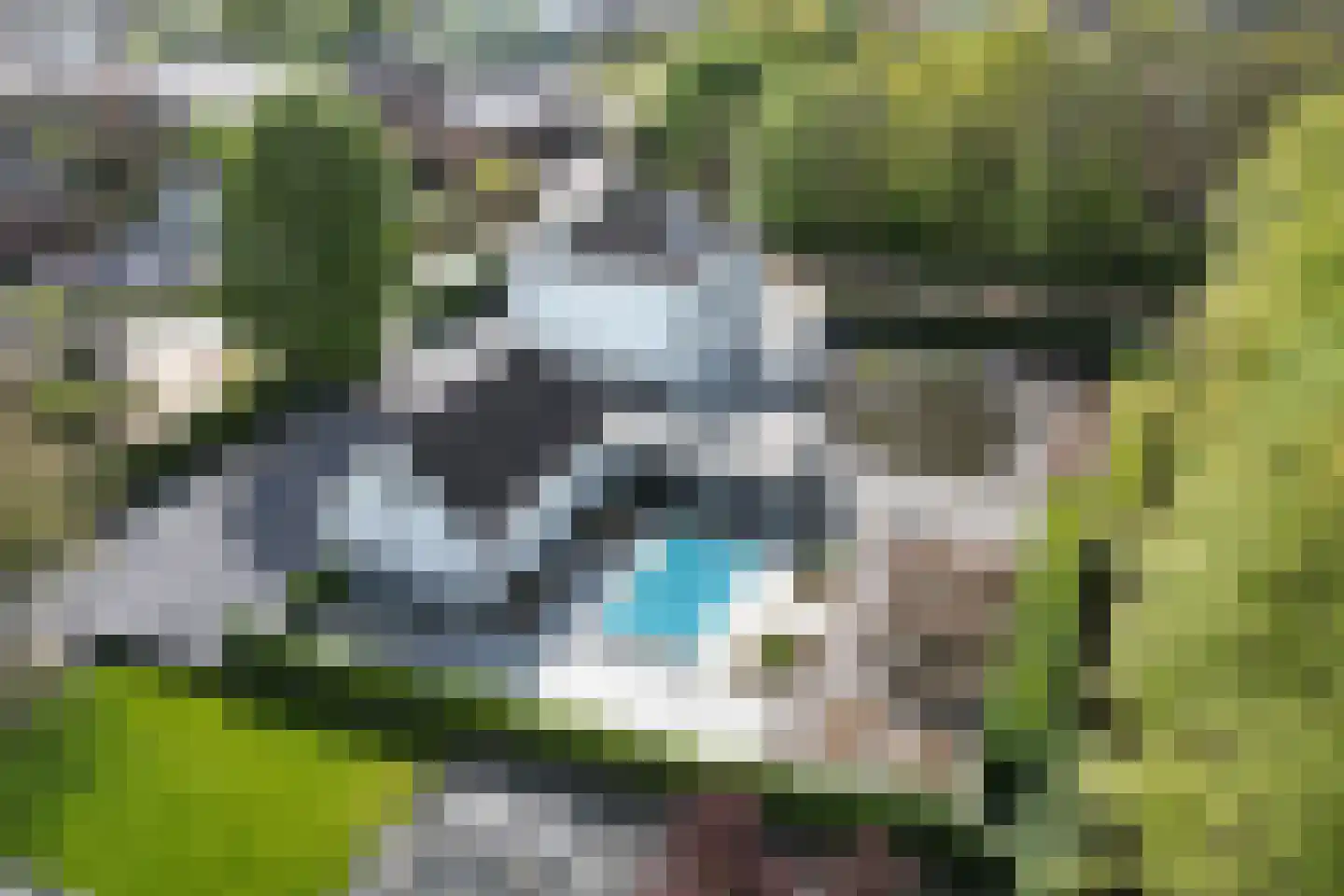 Veerstraat 3 Standdaarbuiten thumbnail 126