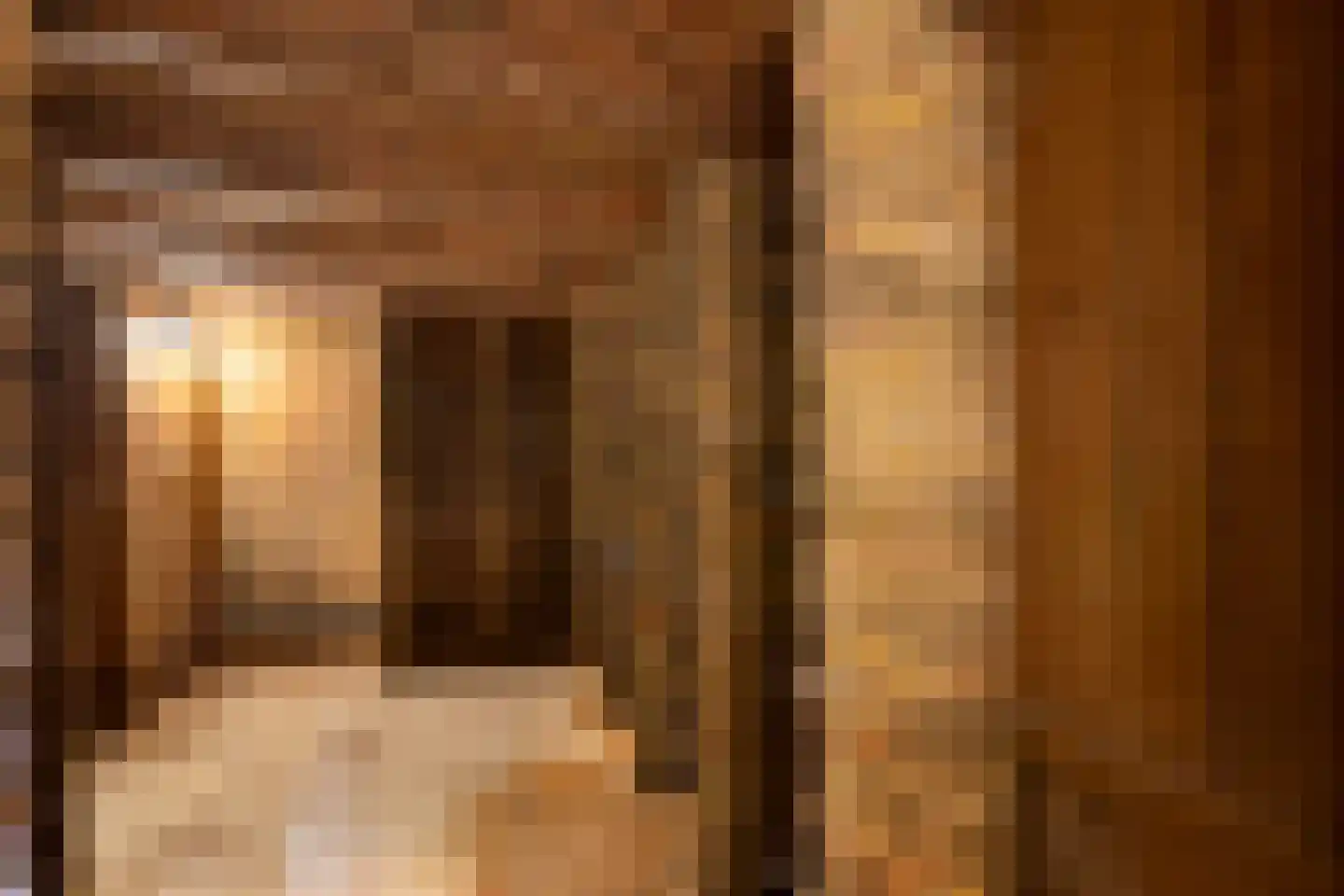 Veerstraat 3 Standdaarbuiten thumbnail 128