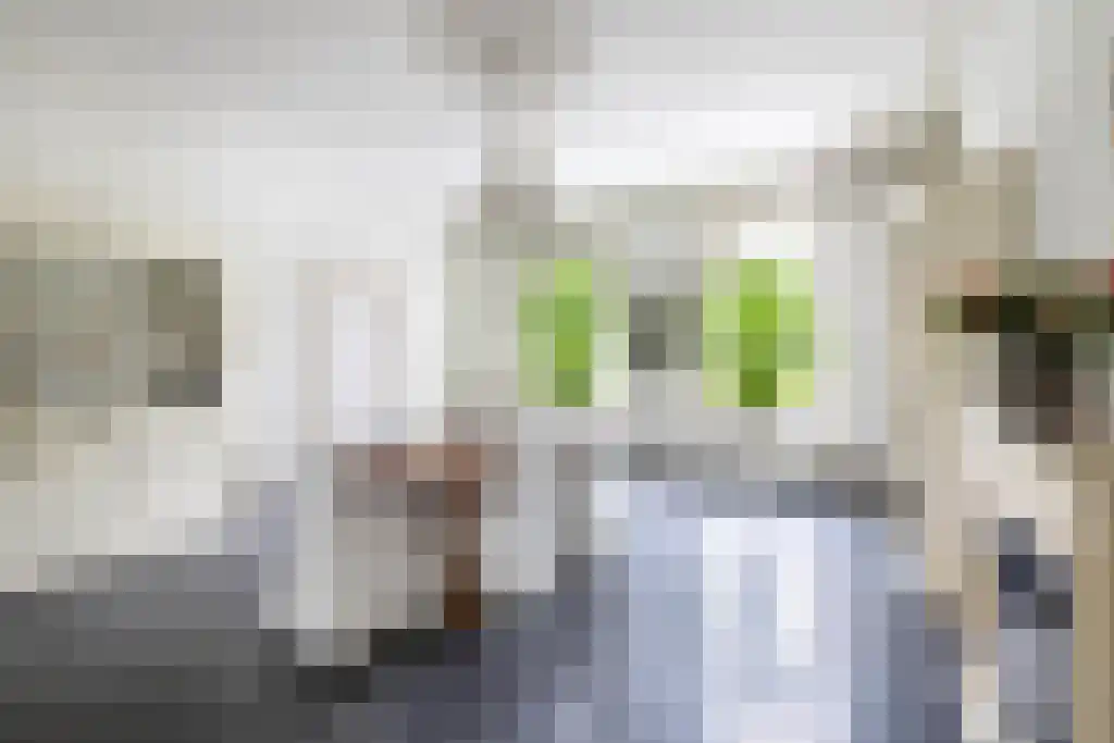 Veerstraat 3 Standdaarbuiten thumbnail 17