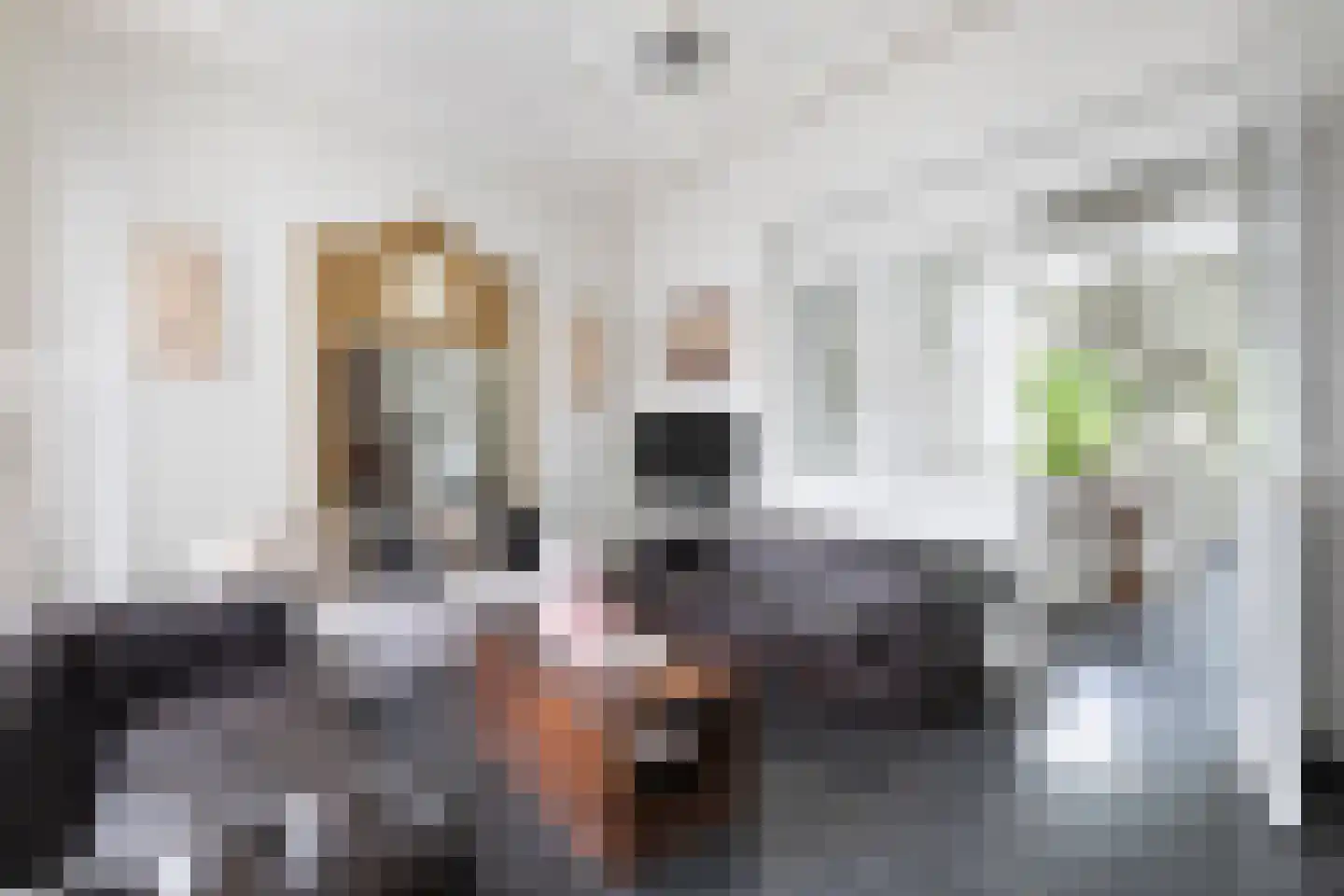 Veerstraat 3 Standdaarbuiten thumbnail 20