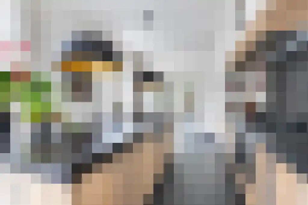 Veerstraat 3 Standdaarbuiten thumbnail 43