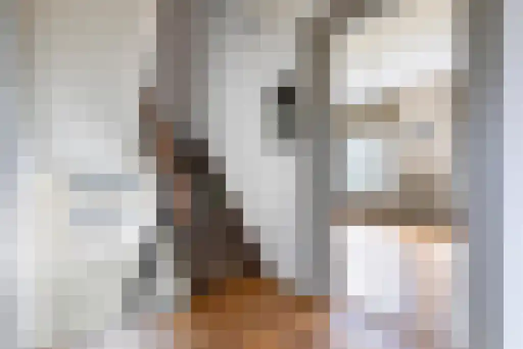 Veerstraat 3 Standdaarbuiten thumbnail 44