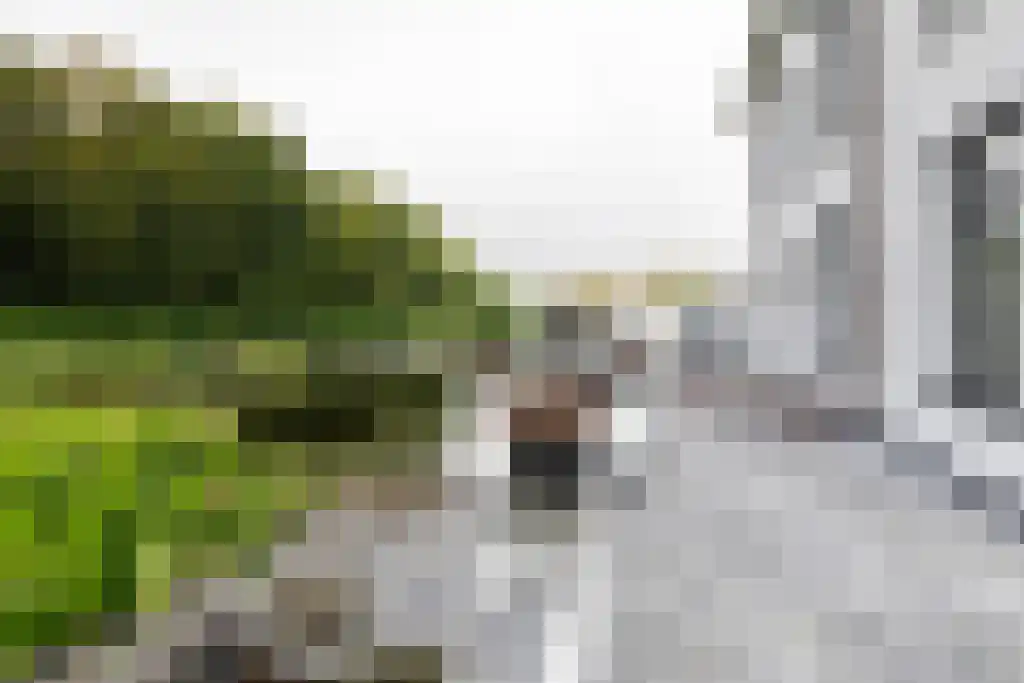 Veerstraat 3 Standdaarbuiten thumbnail 77