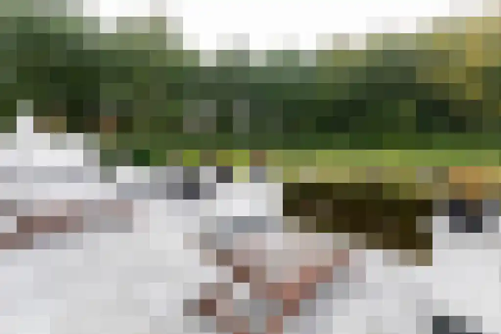 Veerstraat 3 Standdaarbuiten thumbnail 80