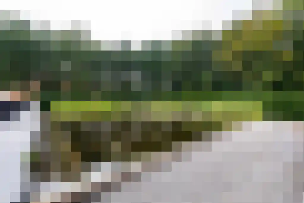 Veerstraat 3 Standdaarbuiten thumbnail 82