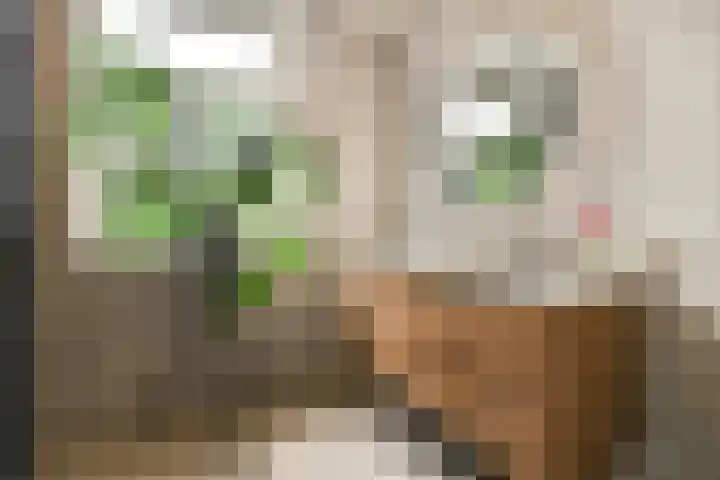 Veerstraat 33 2 Amsterdam thumbnail 14