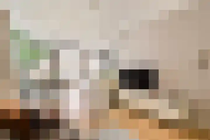 Veerstraat 33 2 Amsterdam thumbnail 4