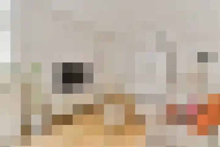 Veerstraat 33 2 Amsterdam thumbnail 5