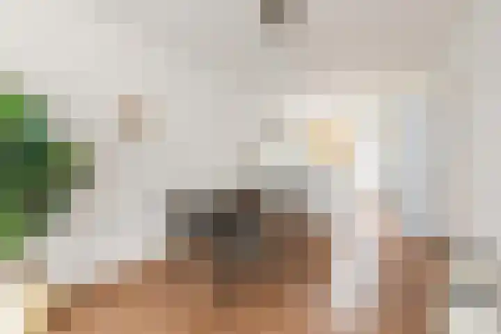Veerstraat 39 3 Amsterdam thumbnail 9