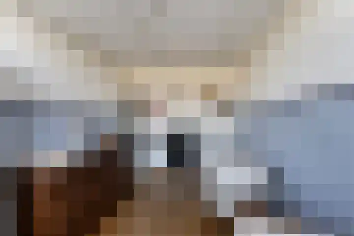 Veerstraat 4 Oud-Vossemeer thumbnail 25
