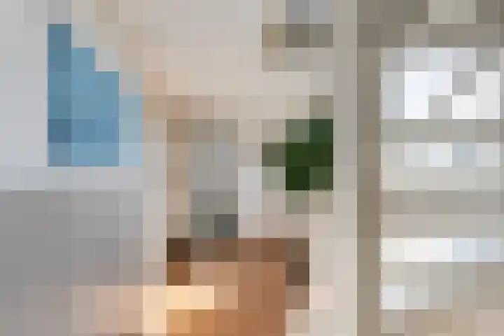 Veerstraat 4 Oud-Vossemeer thumbnail 27