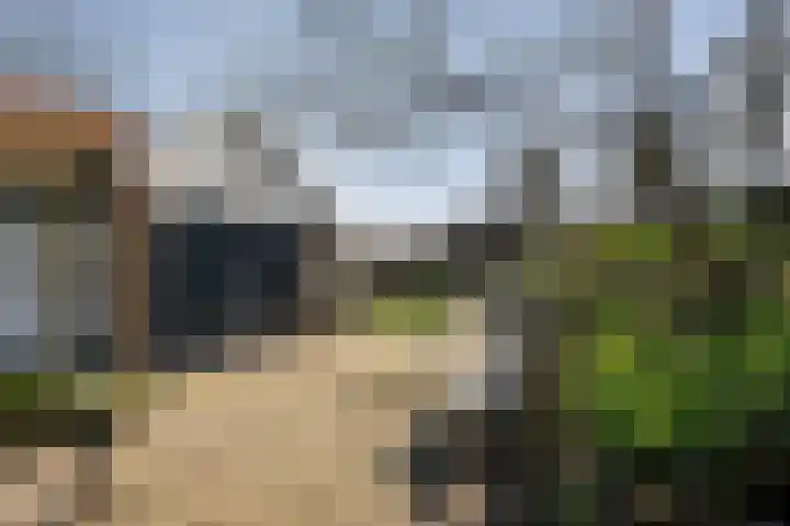 Veerstraat 4 Oud-Vossemeer thumbnail 48