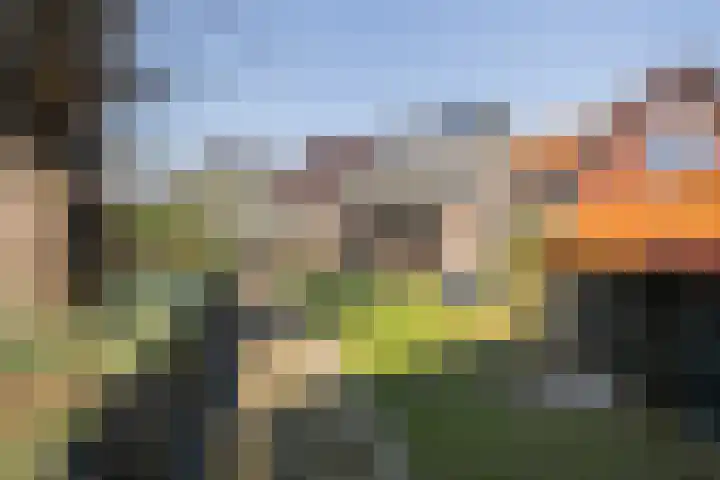 Veerstraat 4 Oud-Vossemeer thumbnail 51