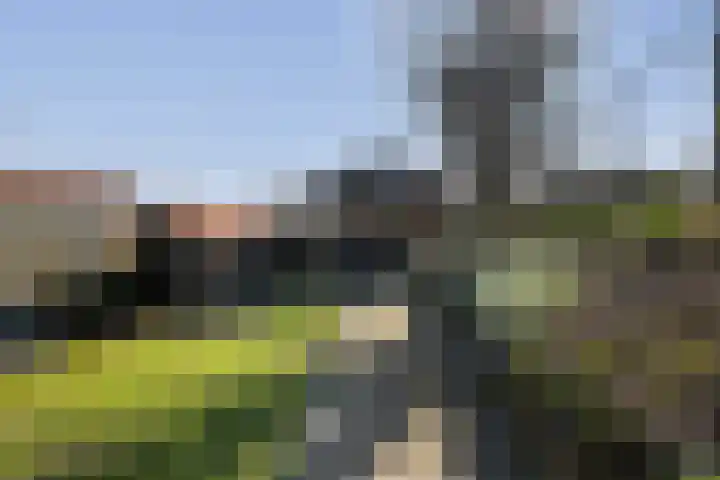 Veerstraat 4 Oud-Vossemeer thumbnail 52