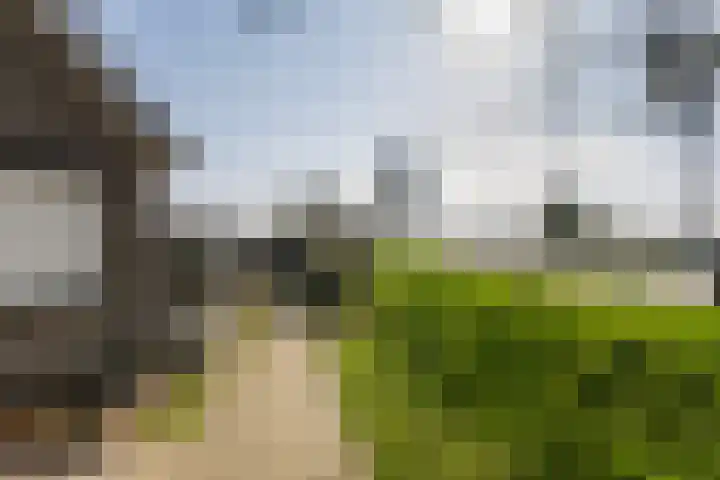 Veerstraat 4 Oud-Vossemeer thumbnail 59