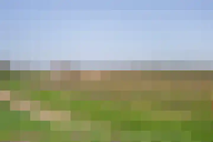 Veerstraat 4 Oud-Vossemeer thumbnail 61