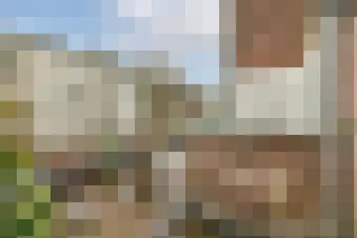 Veerstraat 40 1 Amsterdam thumbnail 14