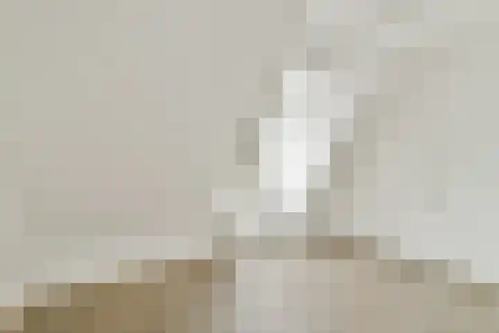 Veerstraat 40 4 Amsterdam thumbnail 18
