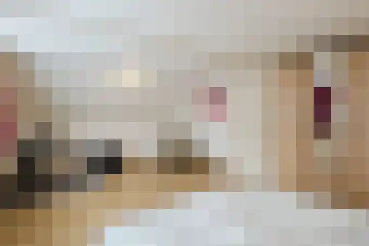 Veerstraat 40 Erp thumbnail 37