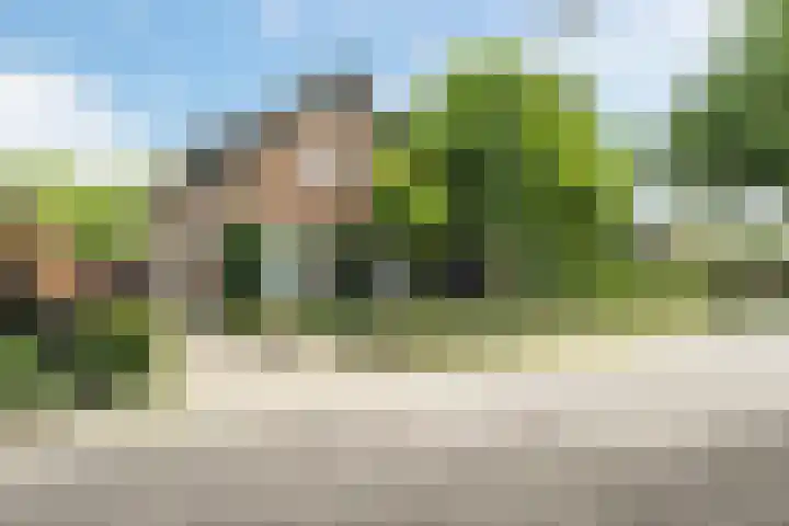 Veerstraat 40 Erp thumbnail 4