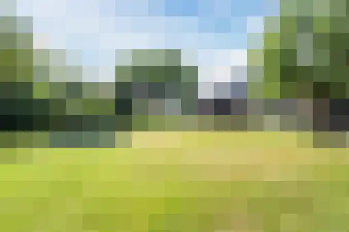 Veerstraat 40 Erp thumbnail 46