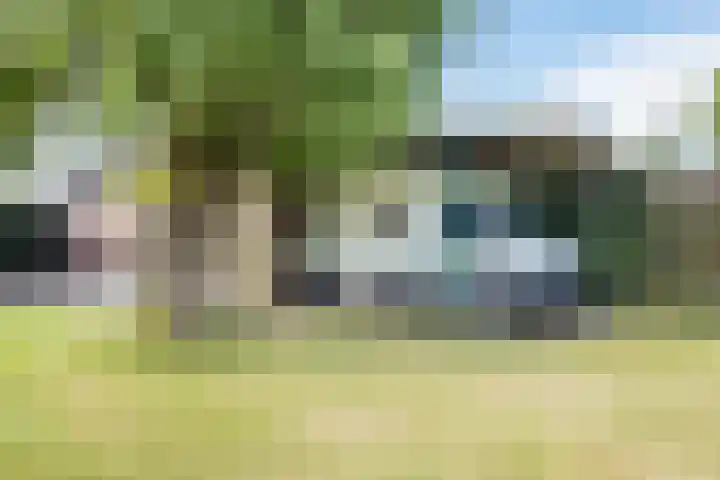 Veerstraat 40 Erp thumbnail 48