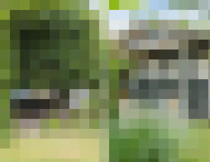 Veerstraat 40 Erp thumbnail 53