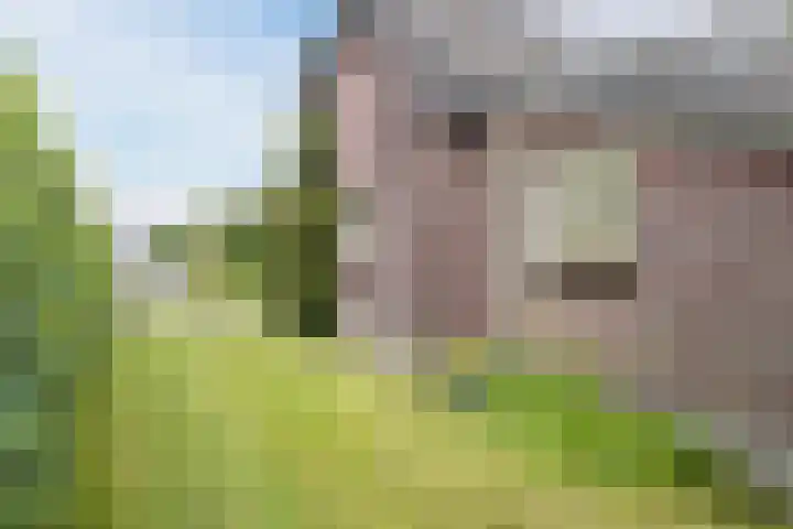 Veerstraat 40 Erp thumbnail 56