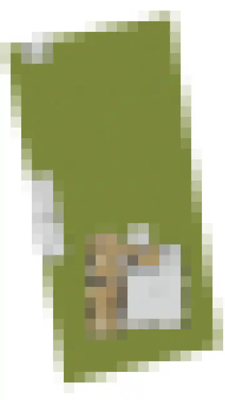 Veerstraat 40 Erp thumbnail 63